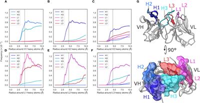 Specific attributes of the VL domain influence both the structure and structural variability of CDR-H3 through steric effects